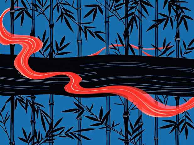 纳音与财富自由：你认为什么是财富自由？
