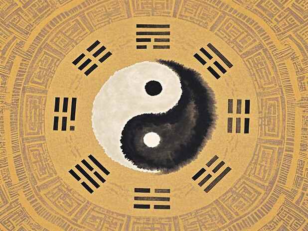 属兔者的星座配对：属兔的人与哪些星座最为合拍？
