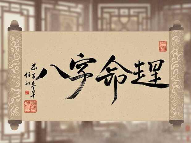如何评估取名网站的特色：哪些因素最重要？
