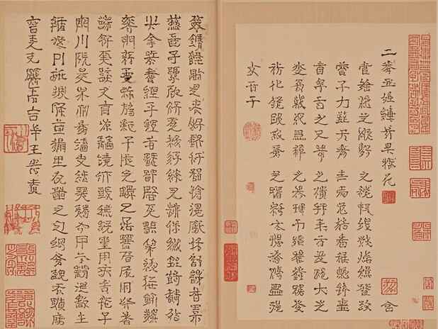 属马人的健康运势：未来十年如何保持身体健康？
